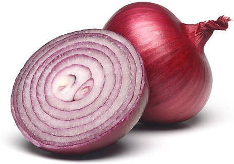 Onion Red Seeds