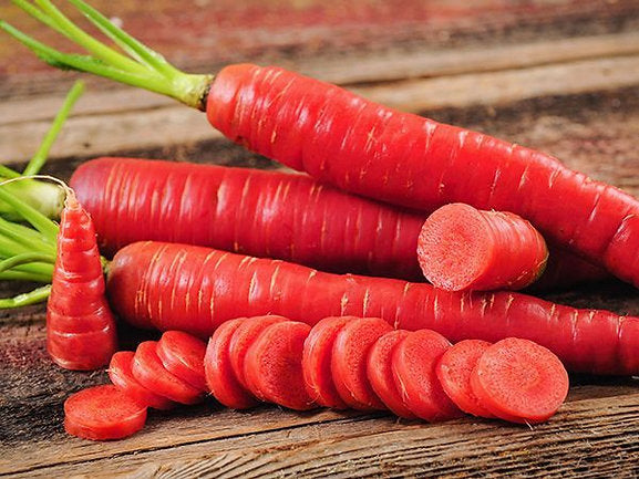 Carrot Red Long Seeds