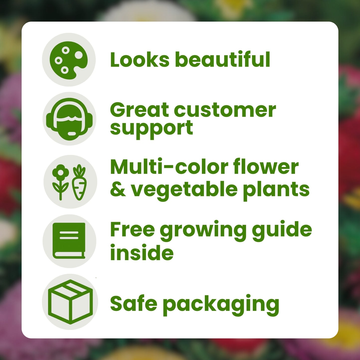 Aster Formula Mixed Flower Seeds