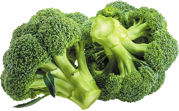 Broccoli Green Seeds