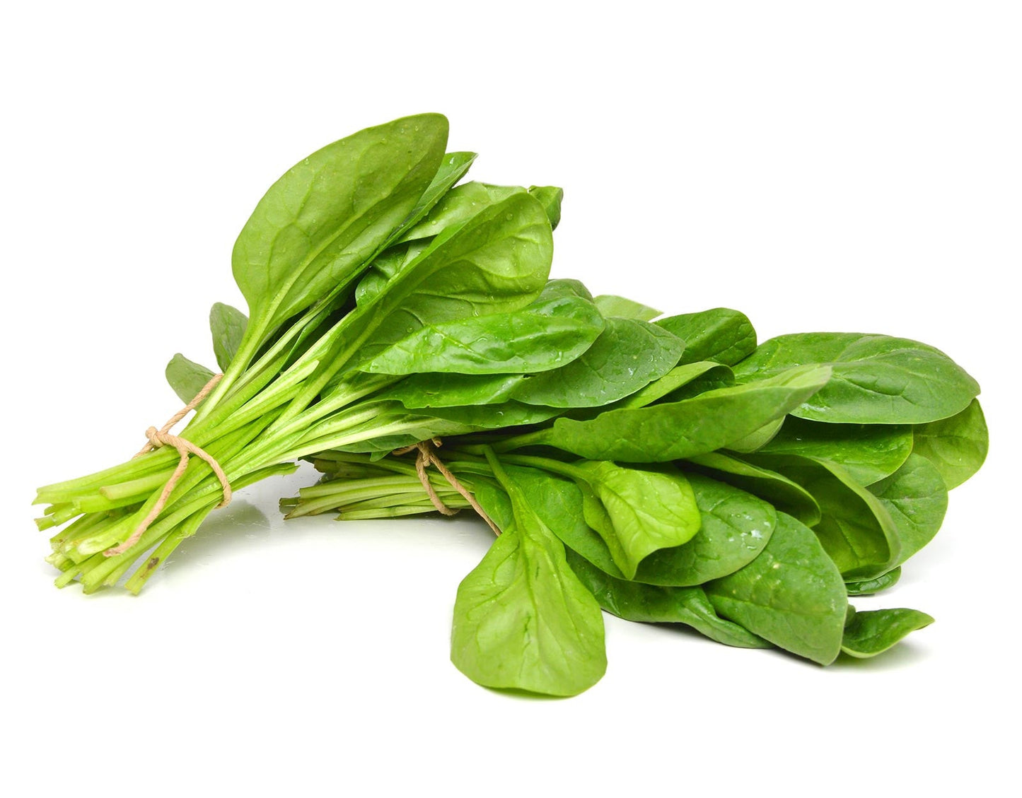 Spinach All Green Seeds