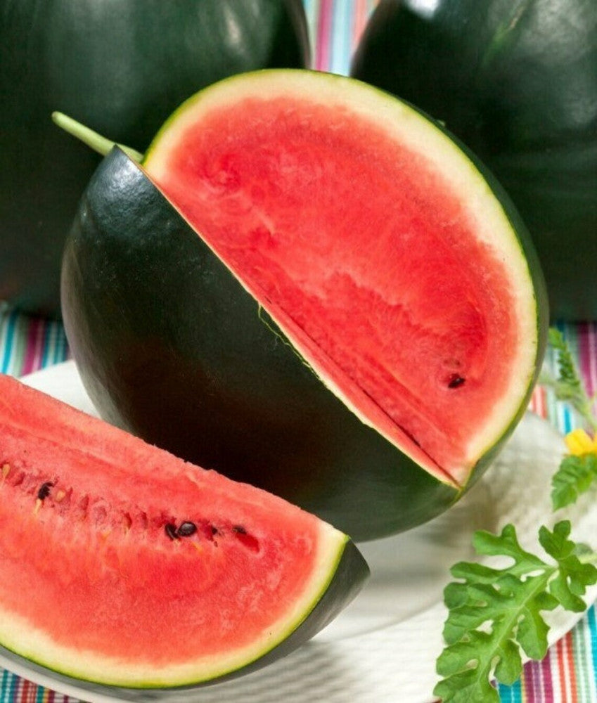 Watermelon Sugar Baby Seeds