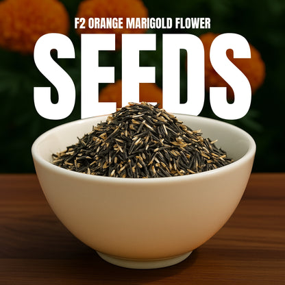 F2 Orange Marigold Flower Seeds
