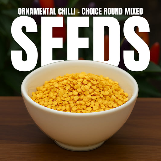 Ornamental Chilli- Choice Round Mixed seeds