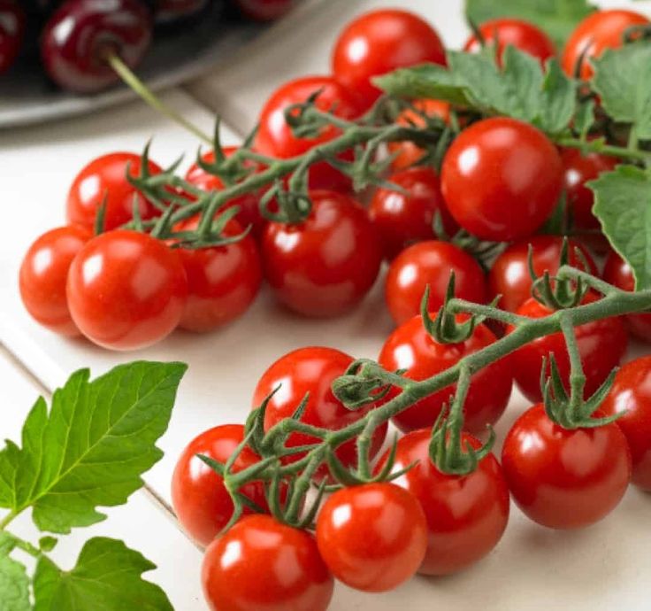 Exotic vegetables seed combo