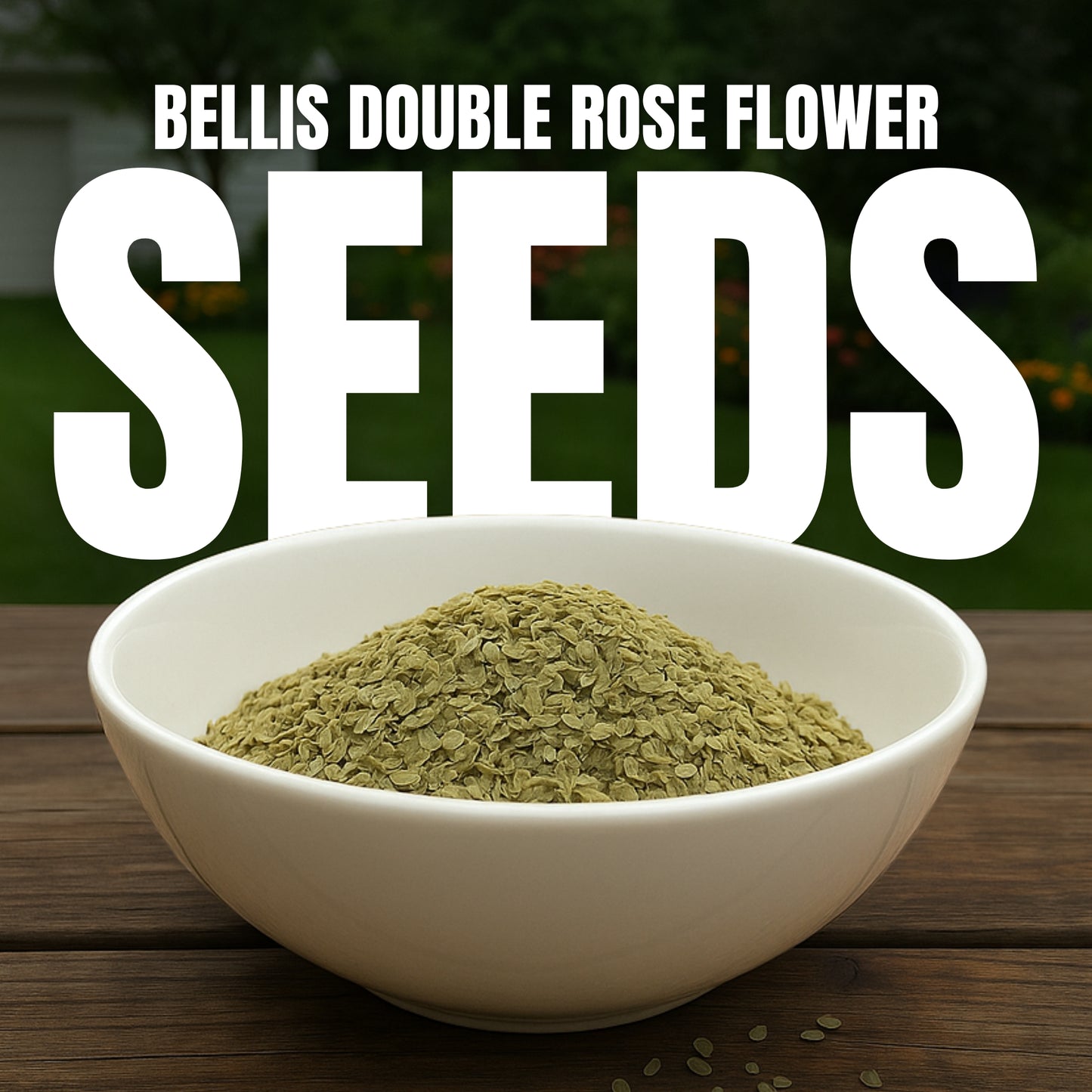Bellis Double Rose Flower Seeds