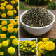 F2 Yellow Marigold Flower Seeds