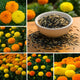 African Marigold Mixed Flower Seeds