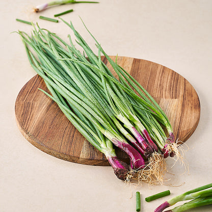 Spring Onion Seeds
