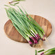Spring Onion Seeds