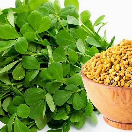 Methi Seeds