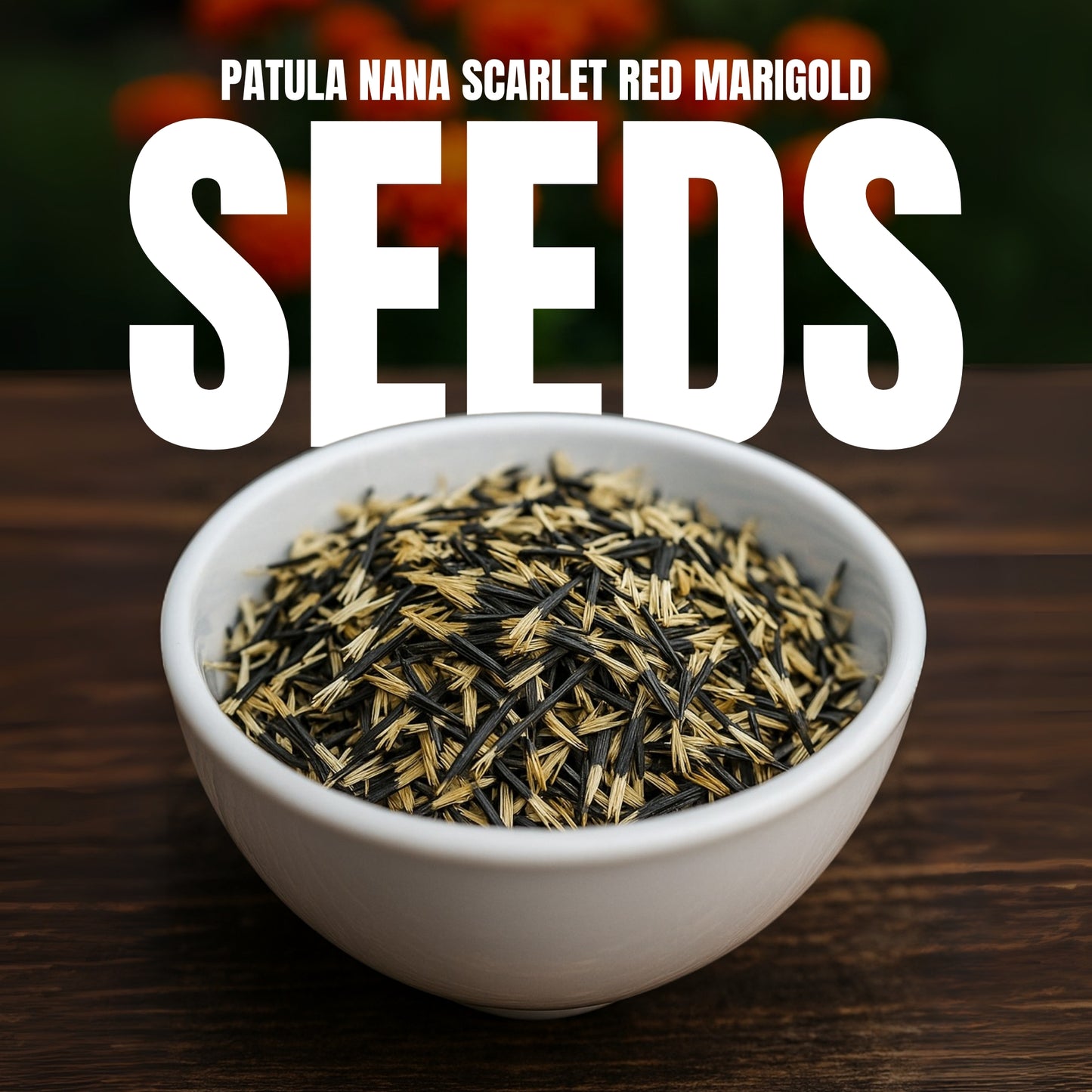 Patula Nana Scarlet Red Marigold Seeds