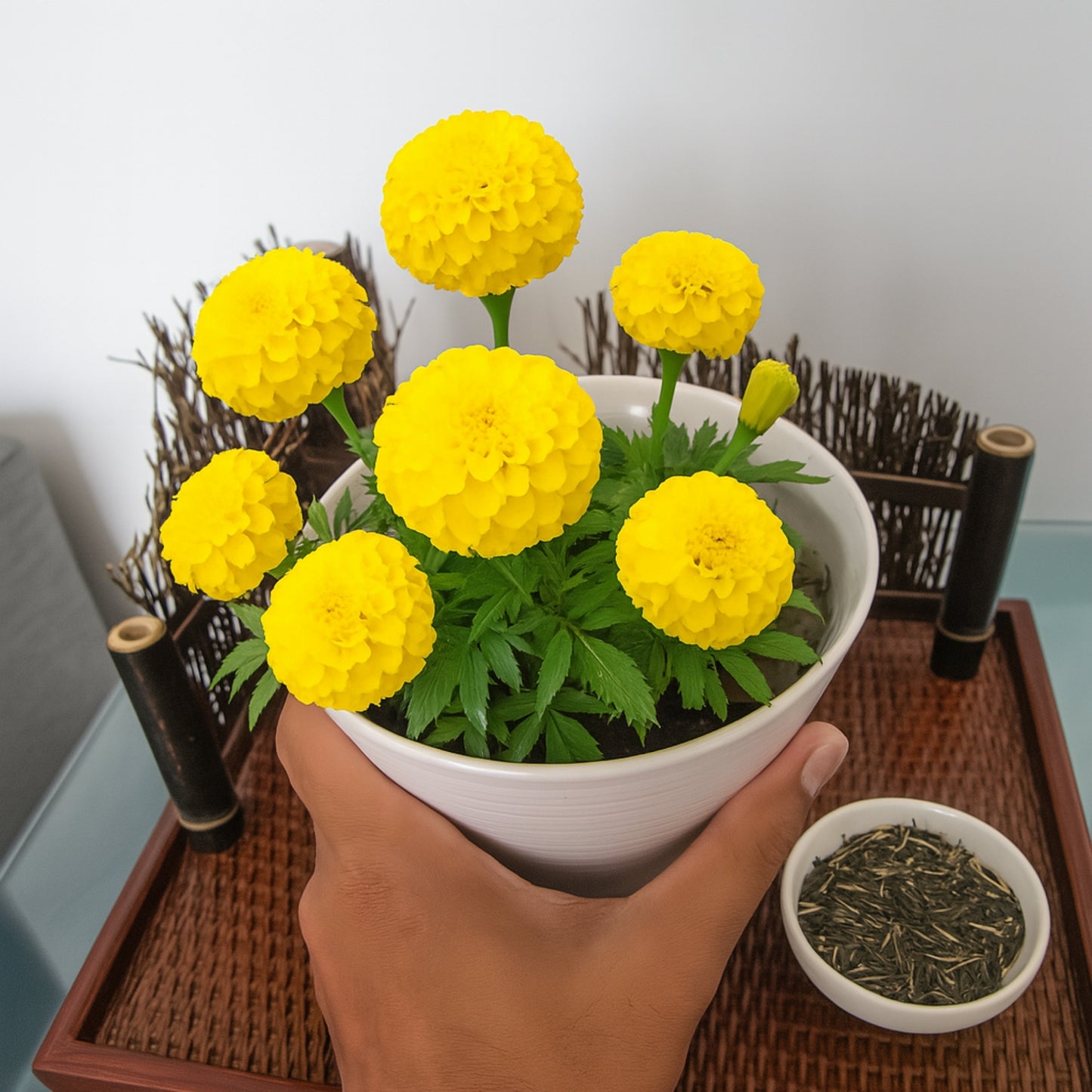 F2 Yellow Marigold Flower Seeds