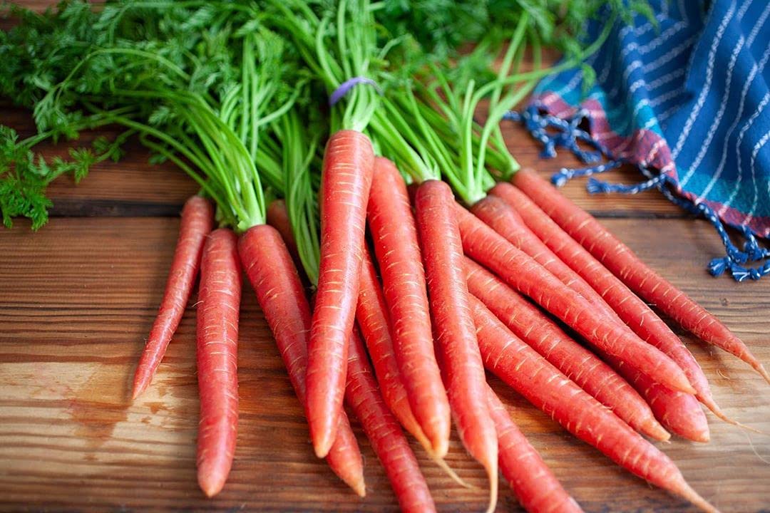 Carrot Red Long Seeds