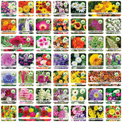 Lotus Seed and Flower Seed Combo (46 Varieties of Packet)