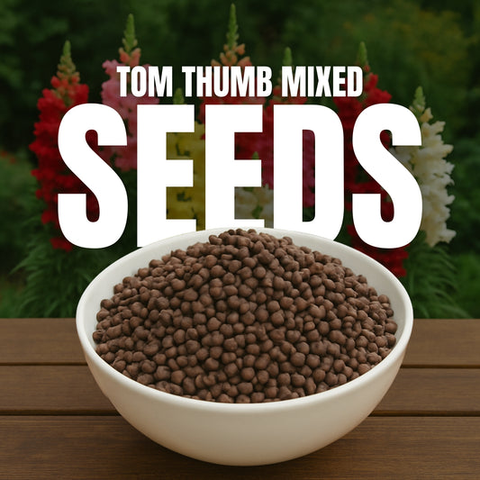 Tom Thumb Mixed 1 Get 1 Free [1200 SEED]