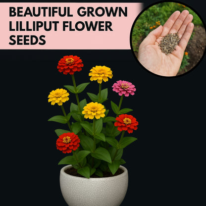 Liliput Mix  - Buy 1 Get 1 Free [450 SEED]