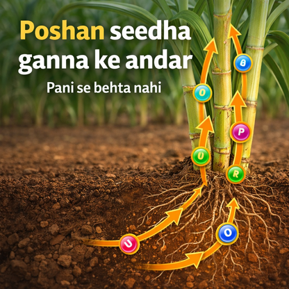 Rootfuel - 5 Litre Sugarcane Growth Booster