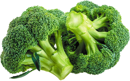 Broccoli Green Seeds