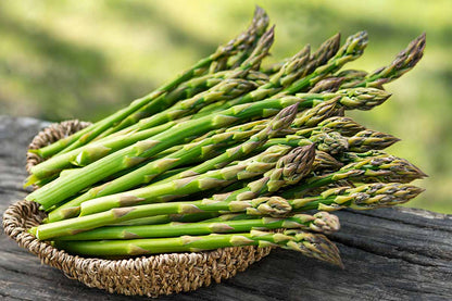 Asparagus Seeds