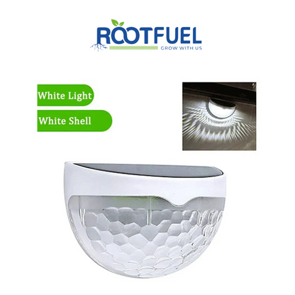 LED Solar Wall Lamp