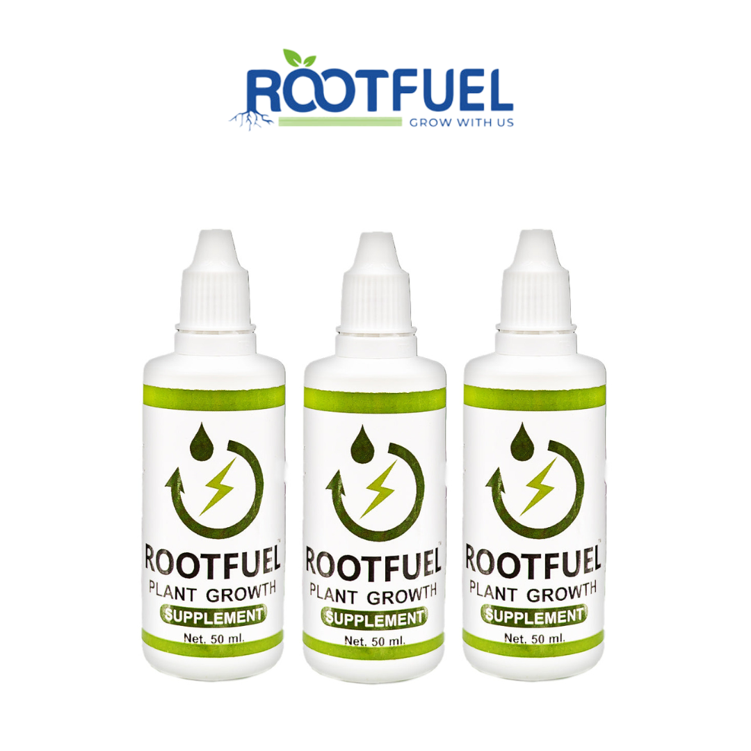 Root & Bloom Essentials