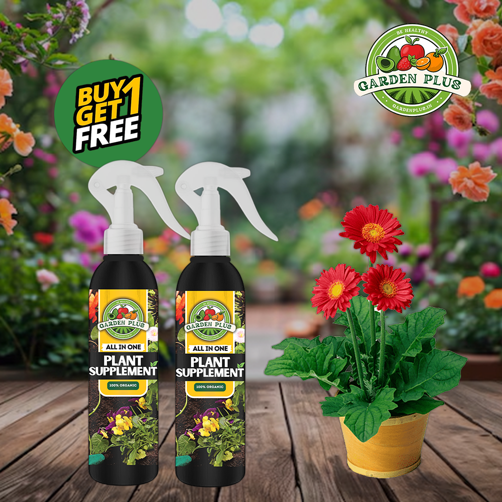 Plant Supplement Spray (Buy 1 Get 1 Free)