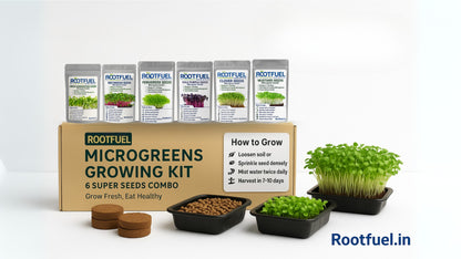 Microgreens Growing Kit – 6 Super Seeds Combo