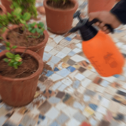 RootFuel - Ultimate Combo