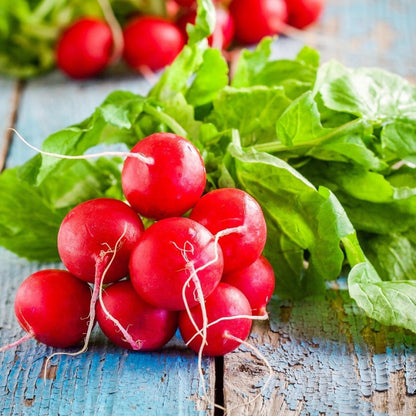 Radish Red Globe Seeds