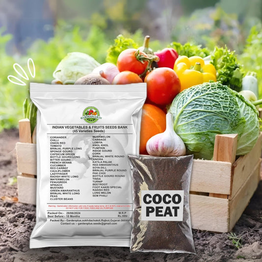 Vegetable Seeds Vault ( 45 types of verity 3000+Seeds in packet )