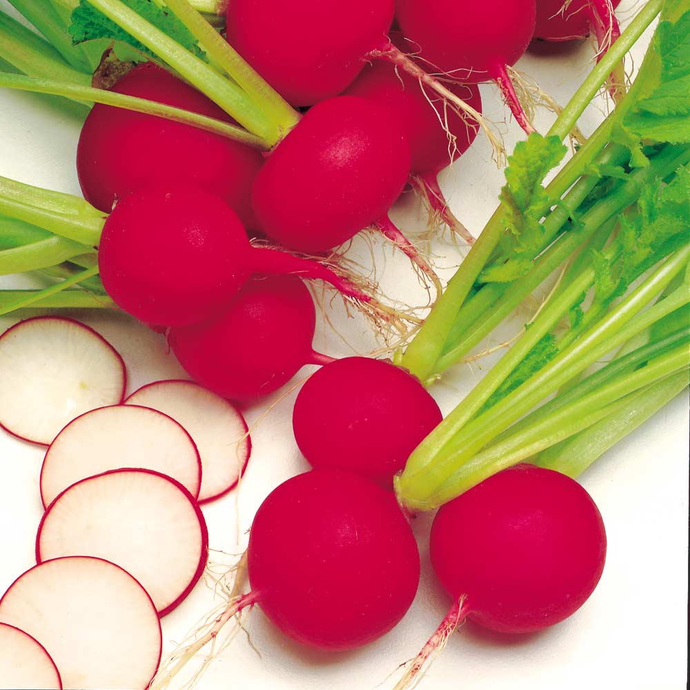 Radish Red Globe Seeds