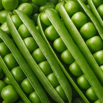 Peas Long Green Seeds