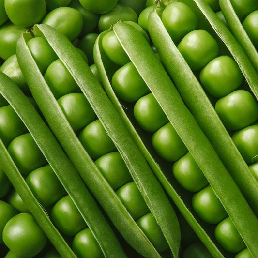 Peas Long Green Seeds