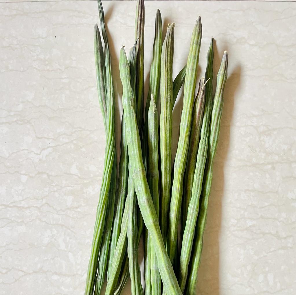 Drumstick (Moringa) Seeds
