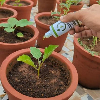 Root & Bloom Essentials