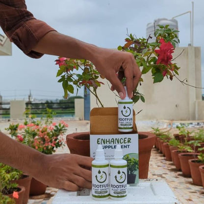 Root & Bloom Essentials