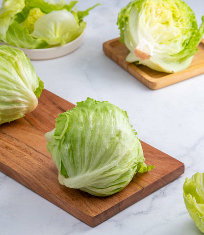 Lettuce Iceberg Seeds