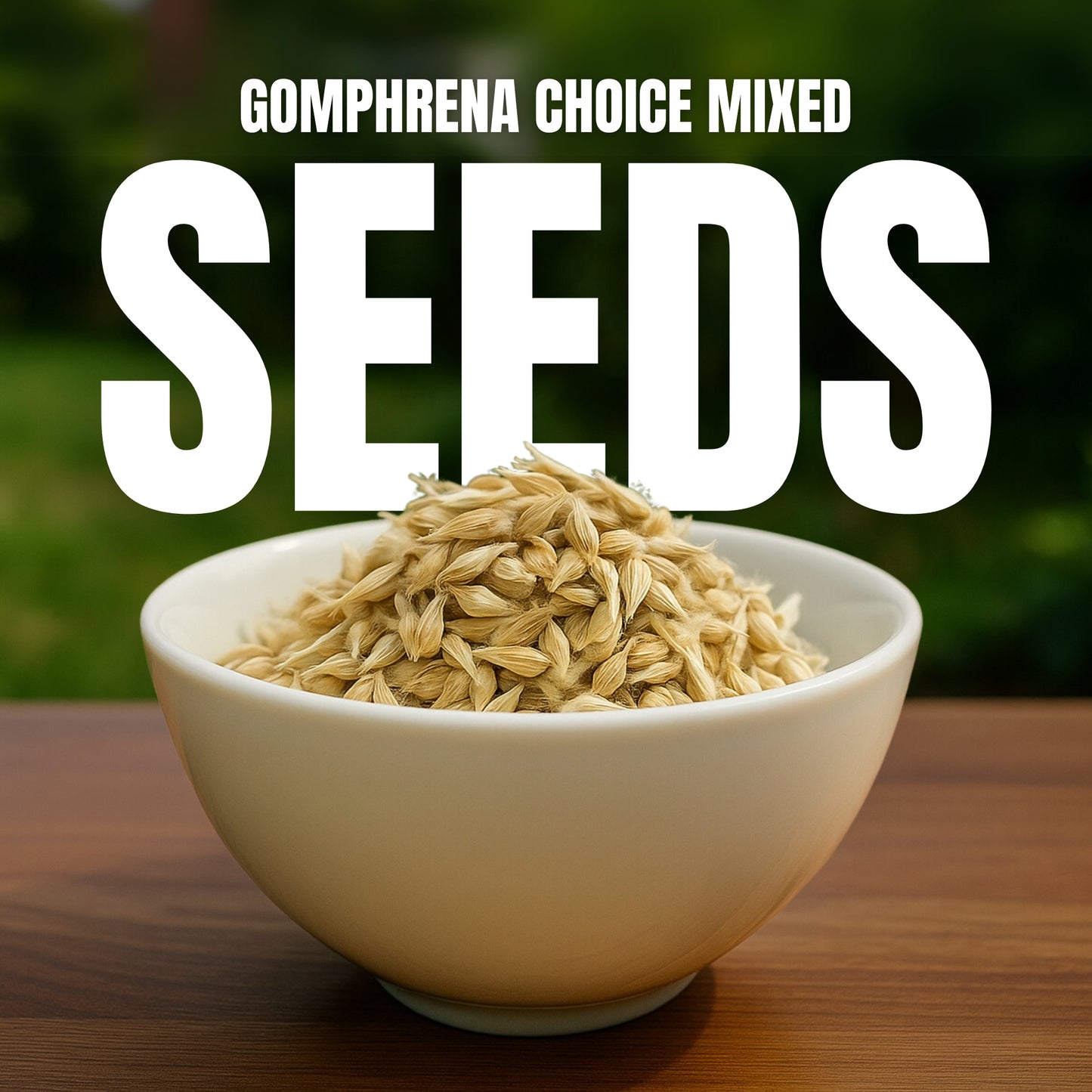 Gomphrena Choice Mixed  seeds