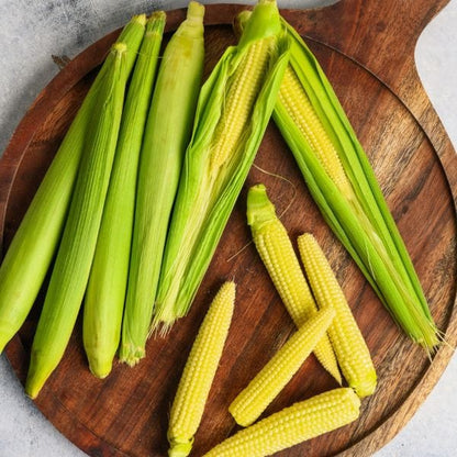 Baby Corn Seeds