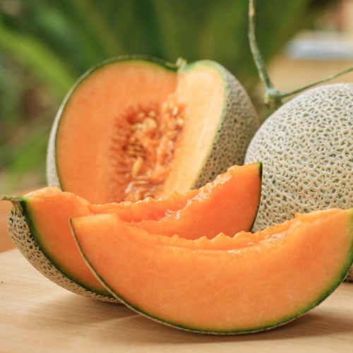 Muskmelon Punjab Sunehri Seeds