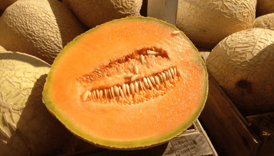 Muskmelon Punjab Sunehri Seeds