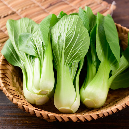 Pak Choi Seeds