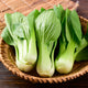 Pak Choi Seeds
