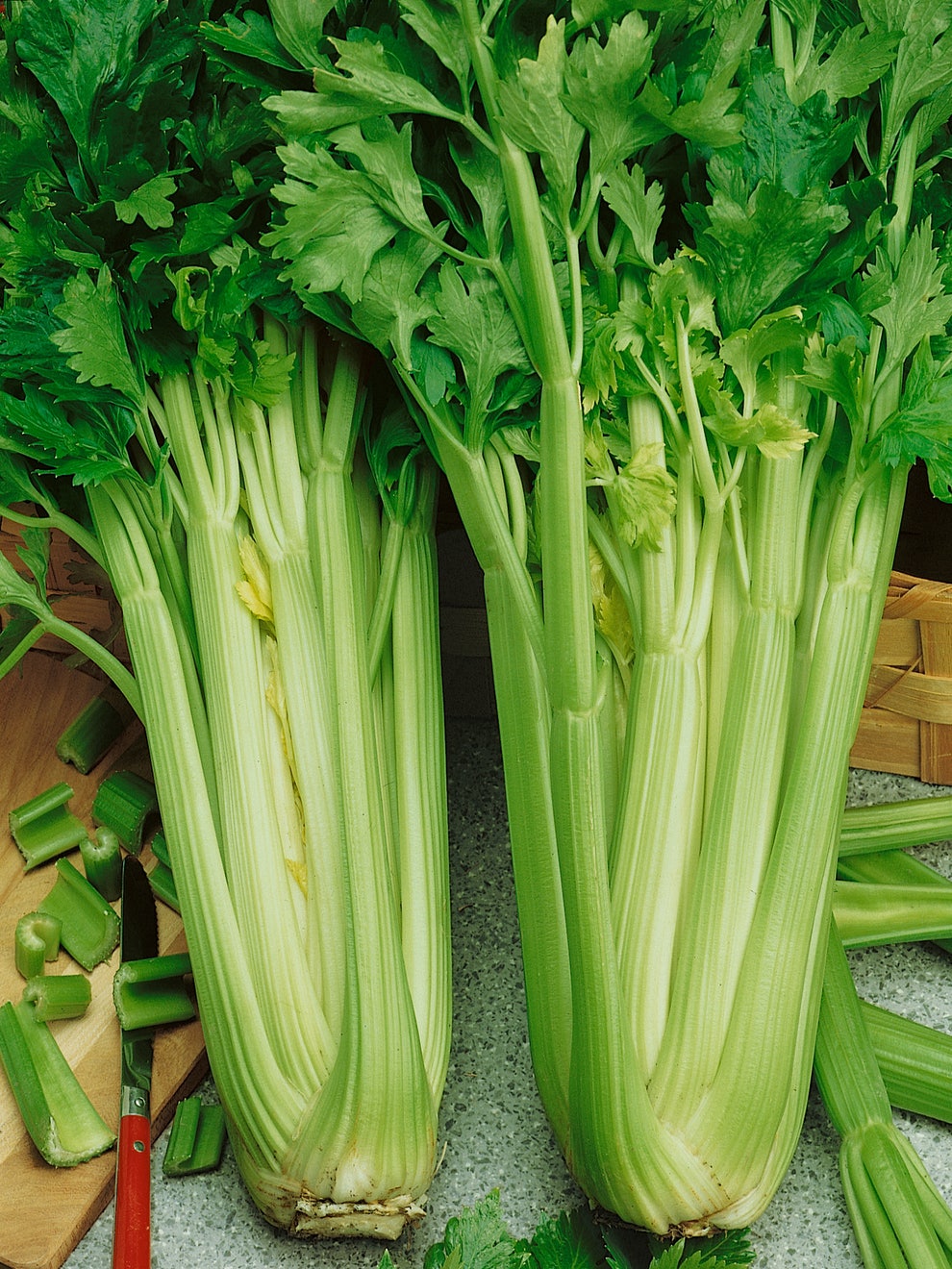 Celery Seeds