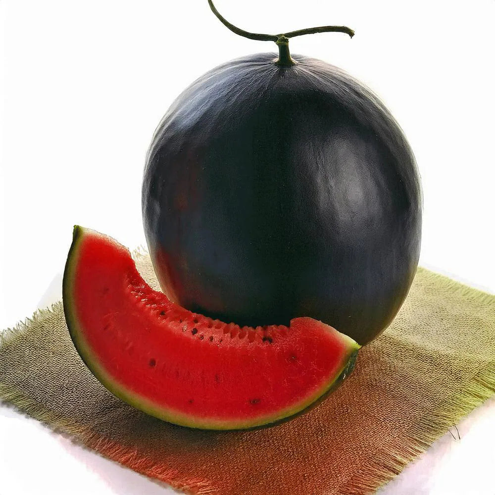 Watermelon Sugar Baby Seeds